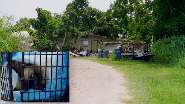 More than 200 cats rescued from Manatee County home