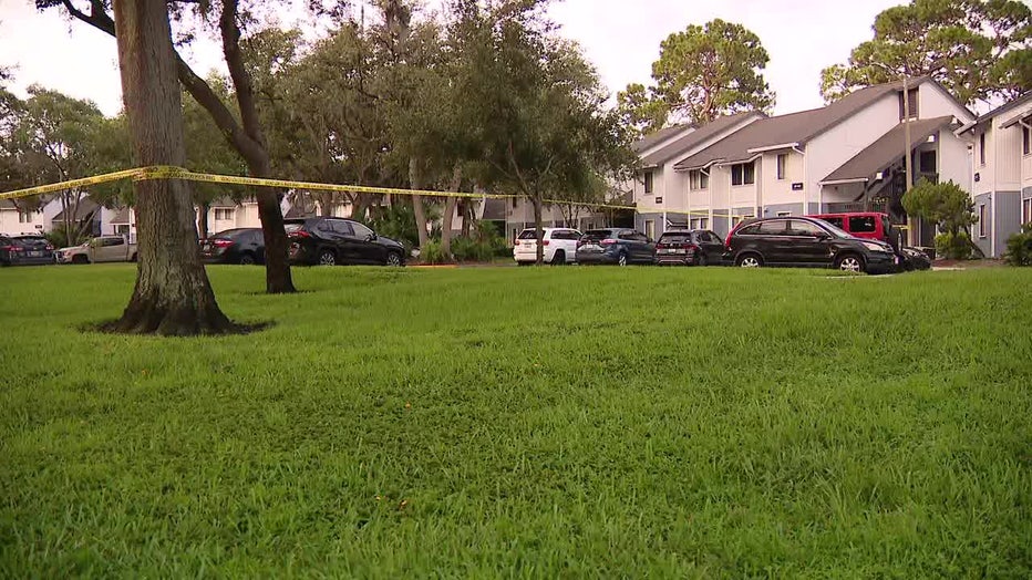 A man was shot at an apartment complex in Palm Harbor early Friday, according to Pinellas County deputies.