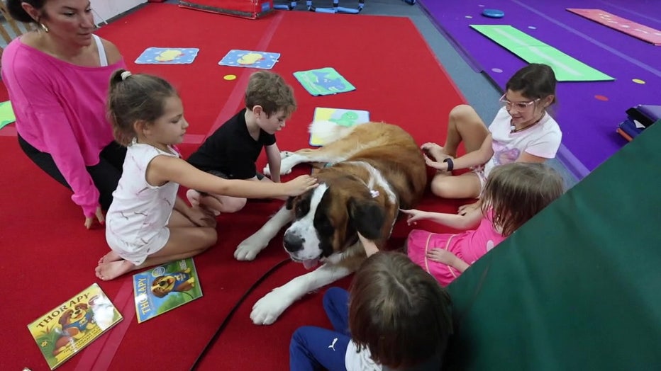 Thor, a 190-pound St. Bernard, provides therapy for people of all ages while inspiring young readers.