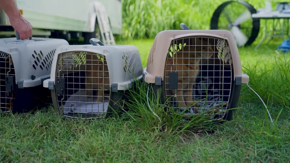 Manatee County Animal Welfare