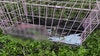 3 cats, including 1 dead, found abandoned in crate in Manatee County: ‘One of the most heartbreaking cases’