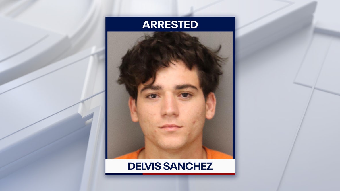 Man accused of force-feeding and throwing seagull on Treasure Island Beach