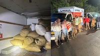 Florida saw palmetto berry bust leads to 11 arrests and seizure of 6,000-pound bounty: MCSO