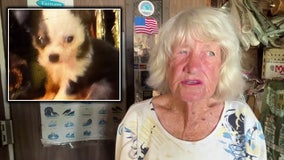 Ballard's Farm Supply’s 92-year-old female owner claims she was beaten by women who stole her 3 dogs