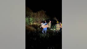 Trapped dog rescued from crashed vehicle in Hernando County