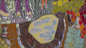 Dunedin cottage offers immersive tile art environment