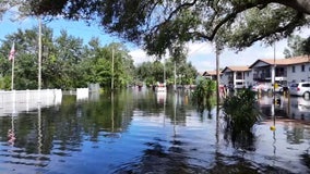 FEMA's new flood maps put parts of Clearwater in flood zone for first time