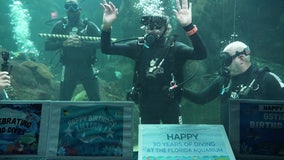 Video: Florida Aquarium volunteer celebrates 85th birthday with final dive