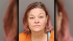 St. Pete woman wearing hot dog costume arrested after putting toilet paper on neighbor’s vehicle