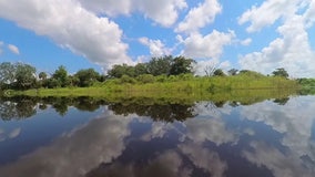 Florida restores the Kissimmee River — and nature came roaring back