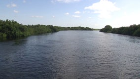 Toxic algae threat in Florida and the Lake Okeechobee connection