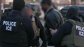 Grady Judd among Florida sheriffs who feel betrayed by ICE’s hiring tactic: ‘Biting the hand that feeds you'