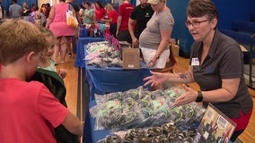 Operation Homefront brings nationwide Back-to-School Brigade to Tampa