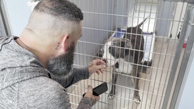 Clear the Shelters weekend brings record adoptions at Humane Society of Tampa Bay