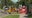 Progress Boulevard closure begins for major drainage project in south Hillsborough County
