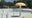 Tampa leaders to vote on Sulphur Springs Pool renovation plan