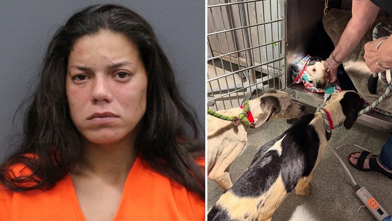 Woman who claimed she found 3 dogs dumped behind Lutz gas station arrested for animal cruelty, child neglect