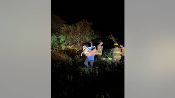 Trapped dog rescued from crashed vehicle in Hernando County