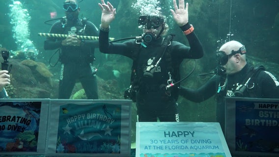 Video: Florida Aquarium volunteer celebrates 85th birthday with final dive