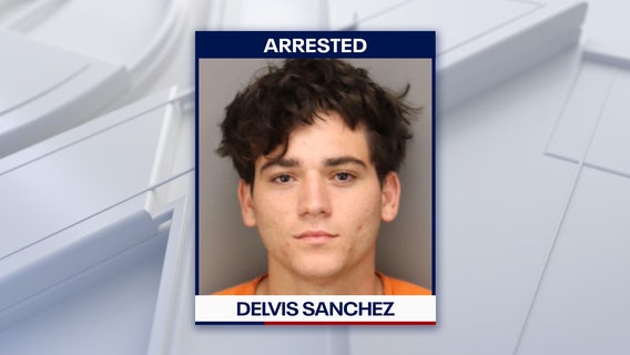 Man accused of force-feeding and throwing seagull on Treasure Island Beach