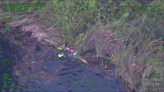Video: Felony suspect arrested after hiding in water from deputies