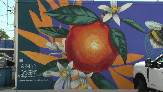 Beautification project in Lealman brings art and business to area