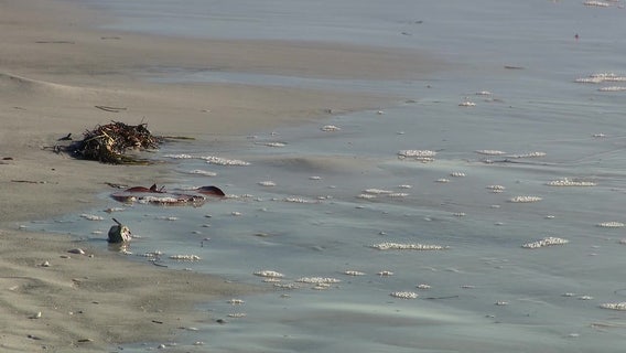 More cases of deadly ‘flesh-eating’ bacterial infection in popular vacation destination