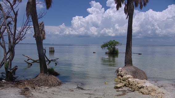 Waterkeepers around Tampa share water quality sampling results