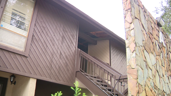 Lightning strike sparked Palm Harbor condo fire