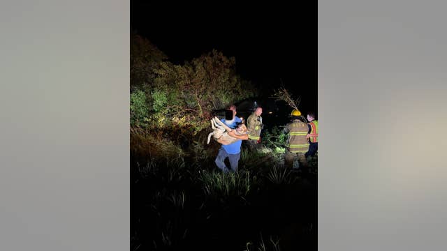 Trapped dog rescued from crashed vehicle in Hernando County