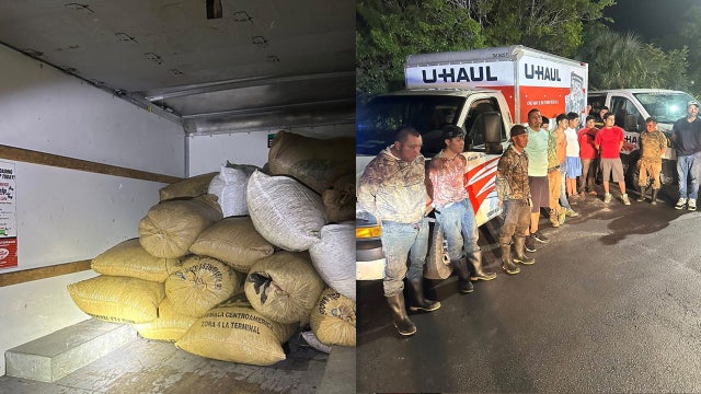 Florida saw palmetto berry bust leads to 11 arrests and seizure of 6,000-pound bounty: MCSO
