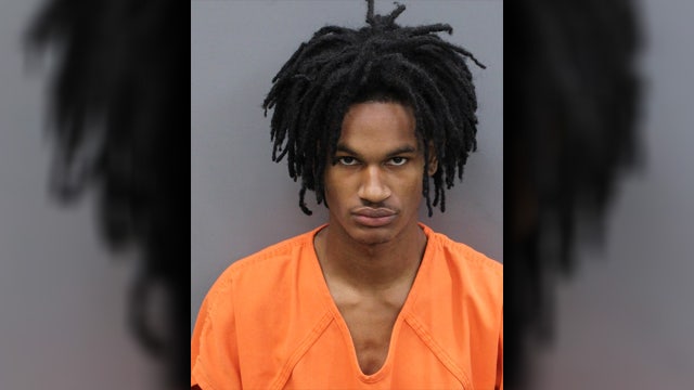 18-year-old interning at Tampa summer camp accused of molesting camper