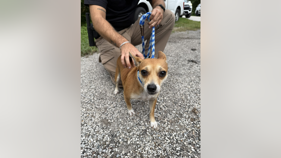Hillsborough County Sheriff's Office