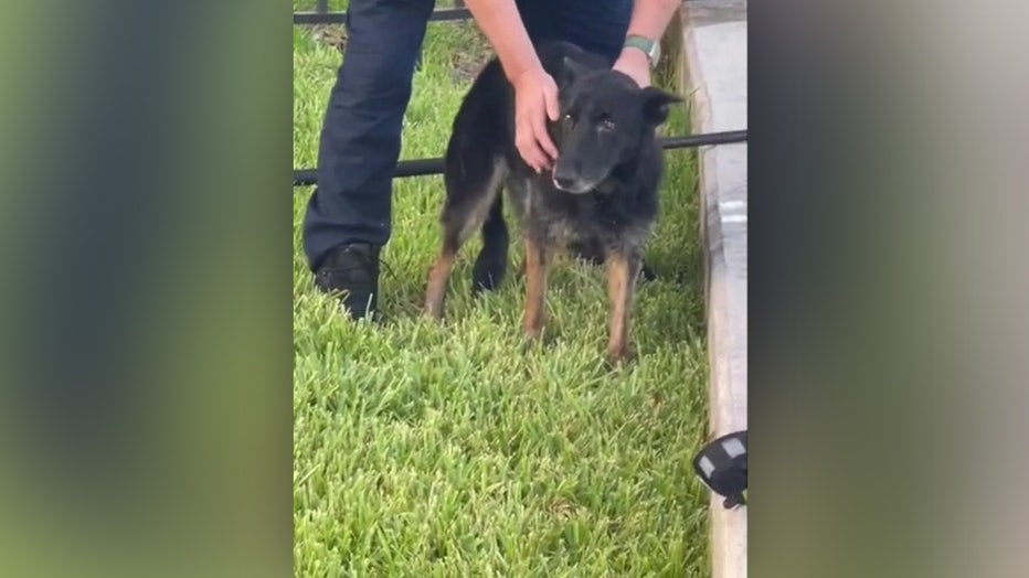 Credit: Fort Lauderdale Fire Rescue via Storyful