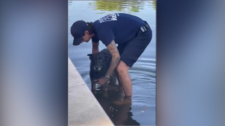 Credit: Fort Lauderdale Fire Rescue via Storyful