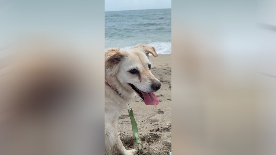 Courtesy: Martin County Sheriff's Office.