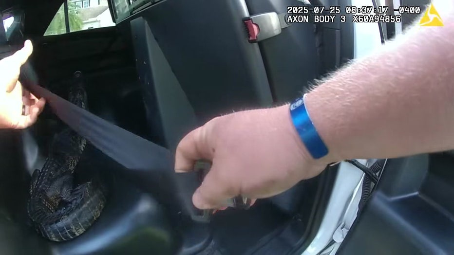 Courtesy: St. Johns County Sheriff's Office.