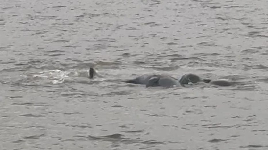 Photo from Marcelo Vieira