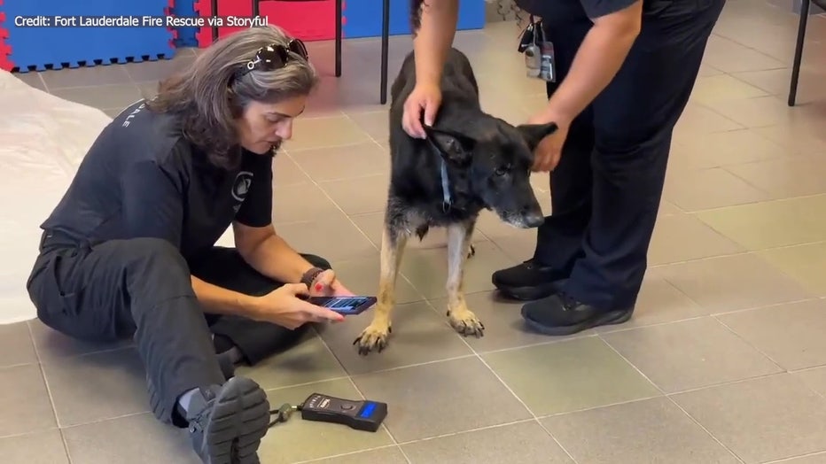 Credit: Fort Lauderdale Fire Rescue via Storyful