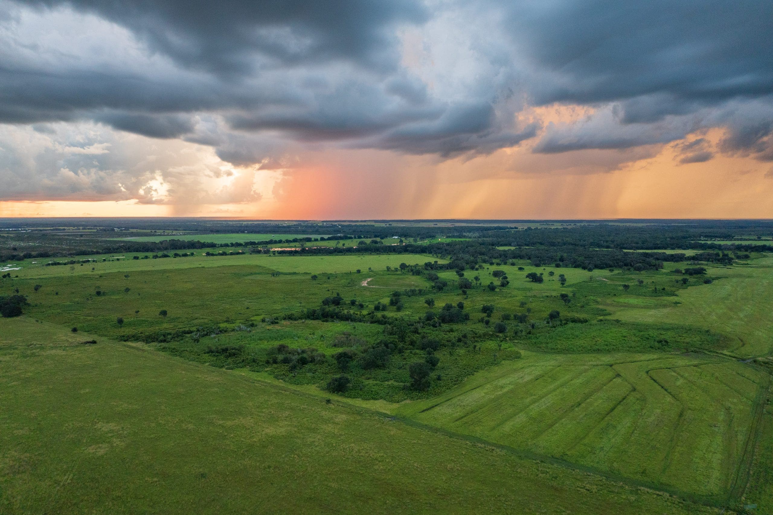 Nearly 8,500 Florida acres saved from development