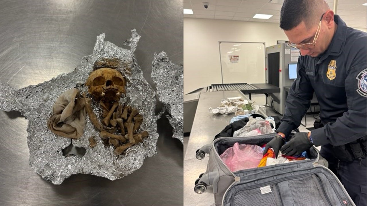 Bones, including portion of a skull, found in duffel bag at TPA