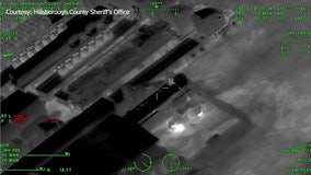 ‘Operation Van Diesel’ targets Florida fuel theft ring, nets nearly a dozen arrests