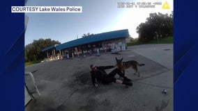 Lake Wales officer and K9 dragged by driver during traffic stop, bodycam released
