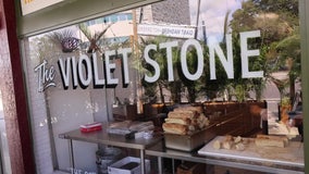 From Philly to the Sunshine City: The Violet Stone’s St. Pete story