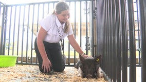 The Farm opens up opportunities for Sarasota County students to learn farming and agriculture
