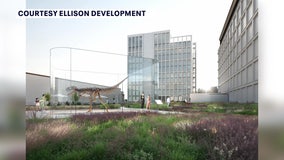 Developer plans to transform St. Pete parking garage roof into rare dinosaur skeleton’s home