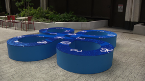 Citywide art campaign celebrates Tampa Bay Lightning's new season