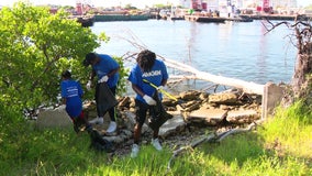 'Keep Tampa Bay Beautiful' wraps up Spirit Week with major coastal cleanup