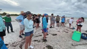 Volunteers gather on Egmont Key to clean up Hurricane Helene debris