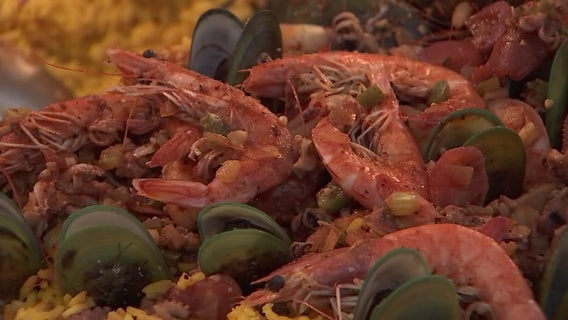 Nearly 20 Tampa Bay area restaurants still falsely claiming shrimp served is from the Gulf: ‘Massive problem’